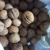 گردو|خوردنی و آشامیدنی|جوانرود, |دیوار