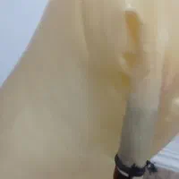 نی انبان کوک 7- بم بم|سازهای بادی|بندر گناوه, |دیوار