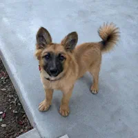 گمشده سمت اوایل هاشم اباد