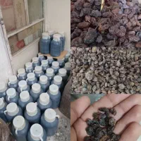 کشمش آبگیری تاکستان