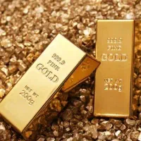 با زدن این کد milli-ck3hg از میلی طلا هدیه بگیر