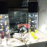 لوستر|لوستر و چراغ آویز|قم, باجک دو|دیوار