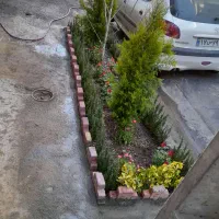 خدمات باغبانی صفر تا صد