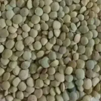 عدس امسال