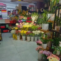 به یک همکار خانم جهت فروشندگی همکار جوان|استخدام خدمات فروشگاه و رستوران|گرگان, |دیوار