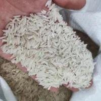 برنج ایرانی|خوردنی و آشامیدنی|سبزوار, رضوان|دیوار