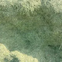 یونجه اماده در گونی