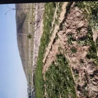 زمین تجاری مسکونی درشهرفراغی