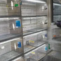 هشت خان غلامی|لوازم جانبی حیوانات|شاهدشهر, |دیوار