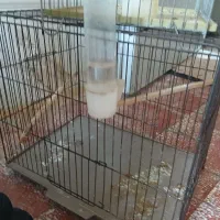 فروش