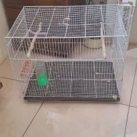 قفس پرنده