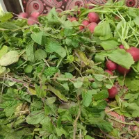 به یک نفر جهت کار در مغازه میوه فروشی نیازمندیم|استخدام خدمات فروشگاه و رستوران|تبریز, |دیوار