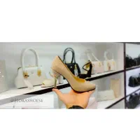 حراج انواع کیف و کفش بدلیل جمع آوری|کیف، کفش، کمربند|اردبیل, |دیوار