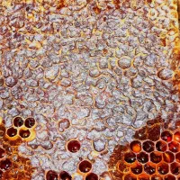 عسل طبیعی خلخال