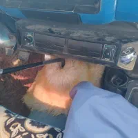 کولرنیسان|قطعات یدکی و لوازم جانبی|بم پشت, |دیوار