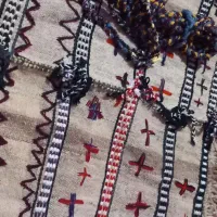 جلو کوهان الاغ و اسب