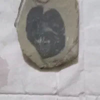 سنگ زیبا قلبی|جواهرات|تهران, اختیاریه|دیوار