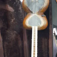 فروش تا گودرزی  خوش صدا  زیر قیمت