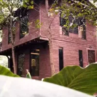 ملکی-که-مثل-طلا-هر-روز-قیمتش-بالا-میره