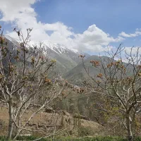 زمین/۹۰۰ متری/ استثنایی|فروش زمین و ملک کلنگی|شمشک, |دیوار