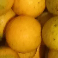 پرتقال محلی خوشمزه در شاندرمن