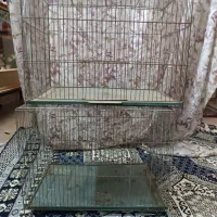 قفس قناری|لوازم جانبی حیوانات|خوی, |دیوار