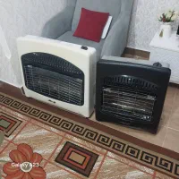 بخاری پلار سالم