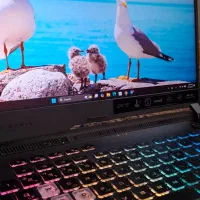 لپ تاپ ایسوس راگ ROG Strix RTX 3060 240Hz 2K|رایانه همراه|تهران, فردوسی|دیوار