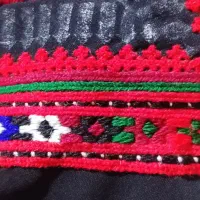 پریوال خطی . گل صندوقی. روبر