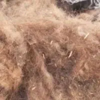 مقداریپشمگوسفند