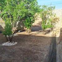 فروش خانه|فروش خانه و ویلا|تربتحیدریه, کاشانی|دیوار