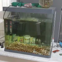 اکواریوم شرکتی اکوا