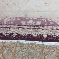 فرش ۱۲متری زرشکی.. موقعیت فامنین