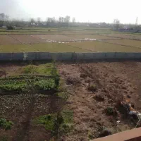 زمین-صنعتی-باغی-در-بین-کوچصفهان-به-سنگر