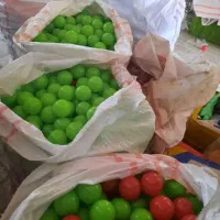 شهر بازی