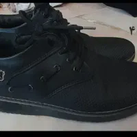 کیف و کفش|کیف، کفش، کمربند|ایلام, |دیوار