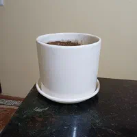 گل و گلدان|گل مصنوعی|کرمانشاه, |دیوار