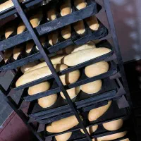 همکار جهت کار در نانوایی شیفت شب|استخدام خدمات فروشگاه و رستوران|زابل, |دیوار