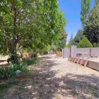 زمین سند تک برگ با جواز و قدمت بنا استخر و سرسبز|فروش زمین و ملک کلنگی|هشتگرد, گلسار|دیوار