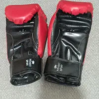 دستکش بوکس|تجهیزات ورزشی|قم, نیروگاه|دیوار