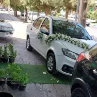 گل سفید(دیزاین زیبا)|گل و گیاه طبیعی|کرمان, |دیوار