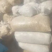 فروش ذرت علوفه ای تازه پلاستیک گرفته اماده