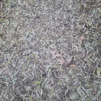 زمین ویلایی در فشند