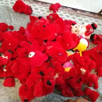 عروسک های مارک و خارجی|اسباب‌‌بازی|برخوار, |دیوار