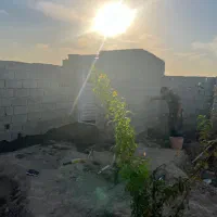 ۳۰۰متر باغچه نقلی