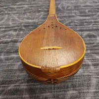 سه تار ذوالقدر حرفه ای