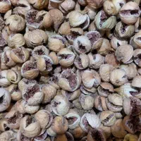 انجیر پرک استهبان|خوردنی و آشامیدنی|شیراز, شهرک نیروی انتظامی|دیوار