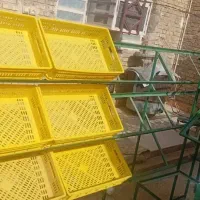 استند.سبد.قفسه میوه فروشی.
