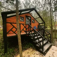 تهیه و نصب ترموود،الاچیق،سونا،روف گاردن.نما|خدمات پیشه و مهارت|تهران, تجریش|دیوار