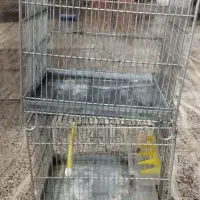 قفس سهره سره فضلی|لوازم جانبی حیوانات|ری, دولتآباد|دیوار